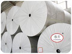 【創(chuàng)新的聚酯胎 要買優(yōu)惠的長(zhǎng)絲聚酯胎,就到壽光春升】創(chuàng)新的聚酯胎 要買優(yōu)惠的長(zhǎng)絲聚酯胎,就到壽光春升批發(fā)價(jià)格,廠家,圖片,壽光市春升非織造布 -