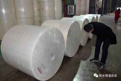 華東首條寬幅長絲聚酯胎生產(chǎn)線落戶&ldquo;布實&rdquo;