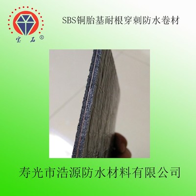 廠家 直銷寶石牌 SBS銅胎基耐根穿刺防水卷材 建筑防水專用 -25&deg;C聚酯胎 厚度4mm 國標 sbs防水卷材圖片_高清圖_細節(jié)圖