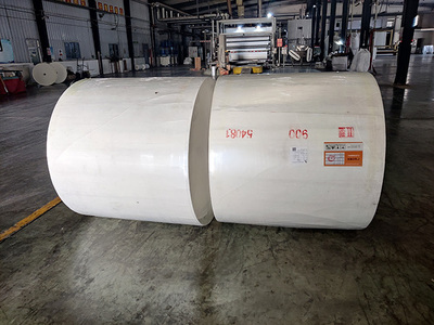 長(zhǎng)纖聚脂胎得到快速發(fā)展是必然的趨勢(shì)