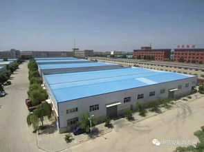 寧夏一輪胎廠近期拍賣 德國零部件巨頭預(yù)測(cè) 未來三年汽車產(chǎn)量下降難改觀