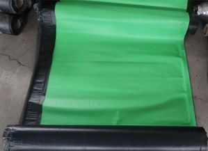 本溪sbs聚酯胎防水卷材價格