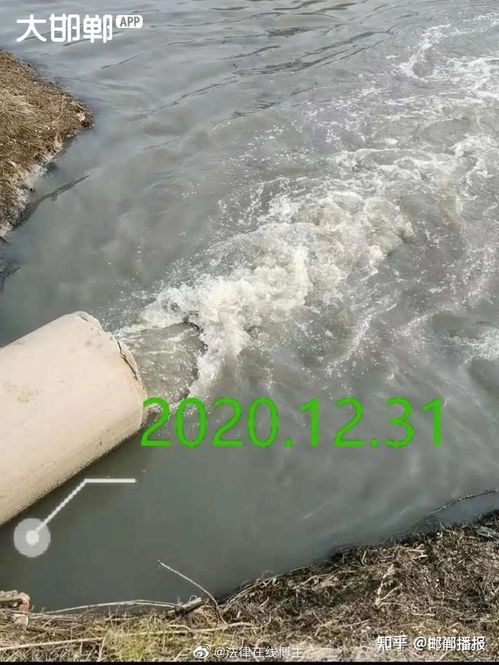 污水直排為哪般？——河北大名縣水污染事件背后的監管之問